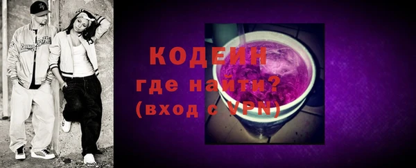 бошки Пересвет
