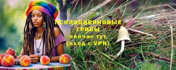 2c-b Алексеевка
