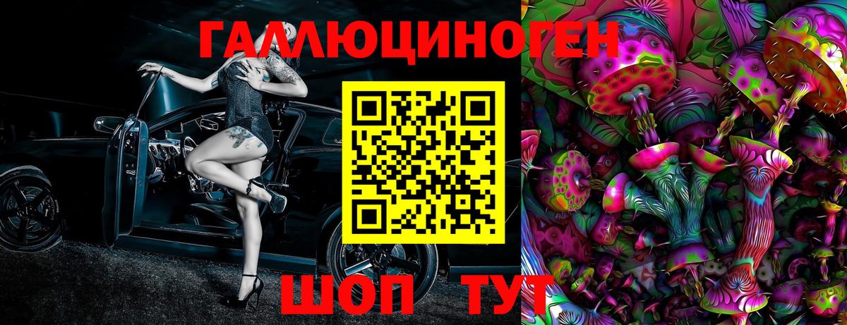 Галлюциногенные грибы Psilocybe  Псилоцибиновые грибы прущие грибы  Вход с VPN  Санкт-Петербург 